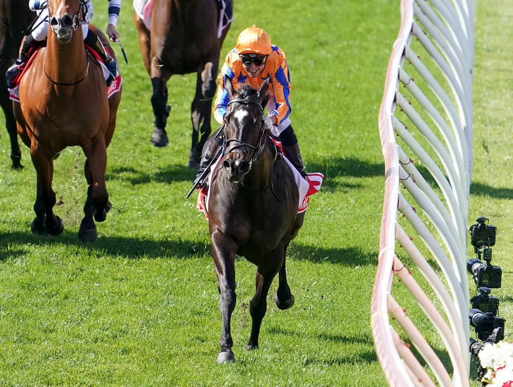Hong Kong Jockey Club investigates local turnover decline in five of six meetings