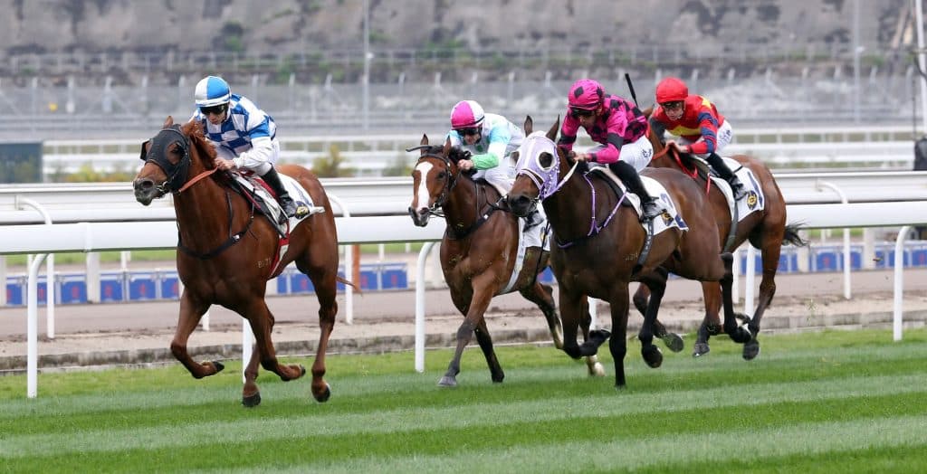 Queensland to bring racing integrity watchdog under one authority