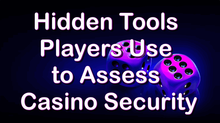 What Players Check to Assess Security