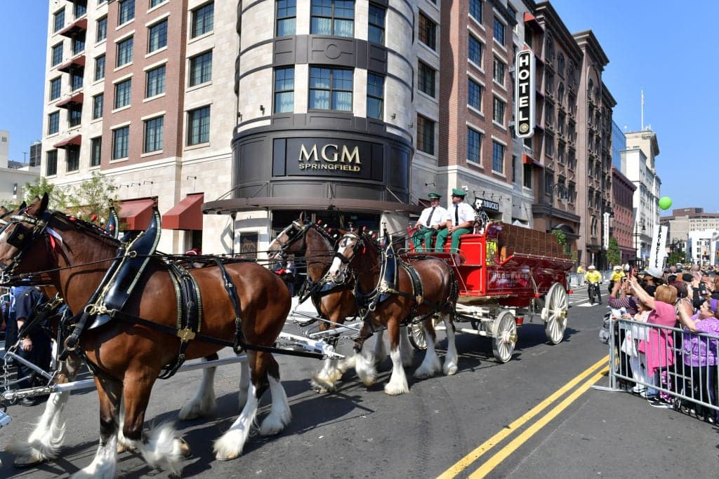 Springfield Sues MGM as Casino Giant Accuses City of Blocking Casino Sale