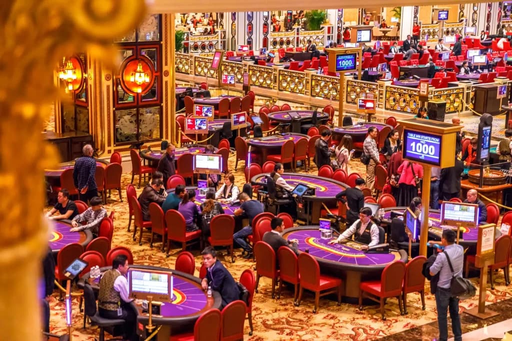 Macau gaming receipts rise 8.8%, costs grow at slower pace: survey