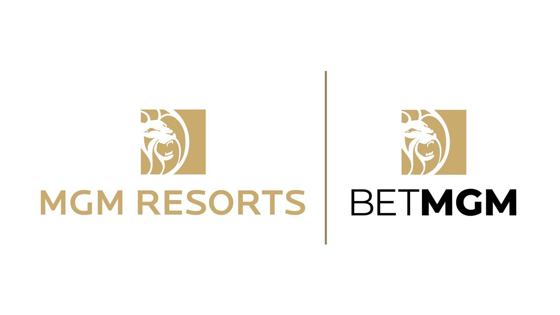 MGM Resorts and BetMGM commit $320K to responsible gaming initiatives