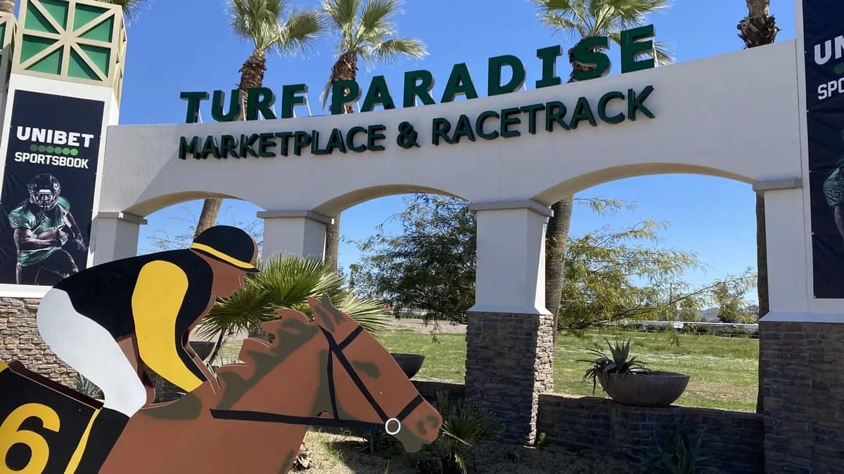 Arizona allocates nine limited sports wagering licenses to local venues